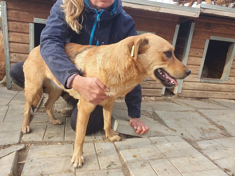 ♥PAULA♥ hübsche, sehr liebe, noch etwas zurückhaltende Zuckerschnute 46 cm