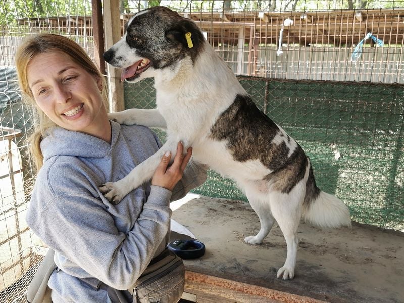 ♥SALLY♥ bildhübsche, ausgesprochene temperamentvolle und ganz menschenbezogene Hündin 46 cm