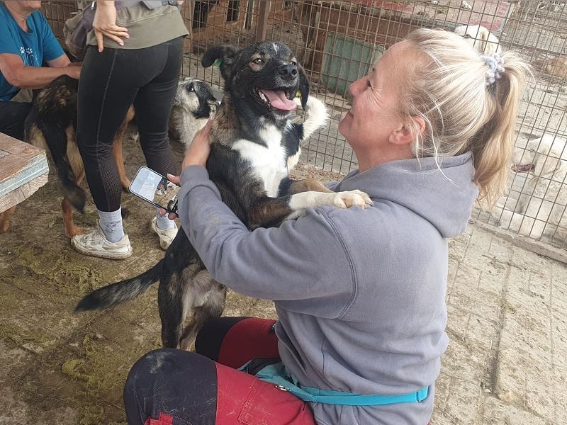 ♥HEIKO♥ zarter, ganz verschmuster und menschenbezogener Jungrüde 49 cm