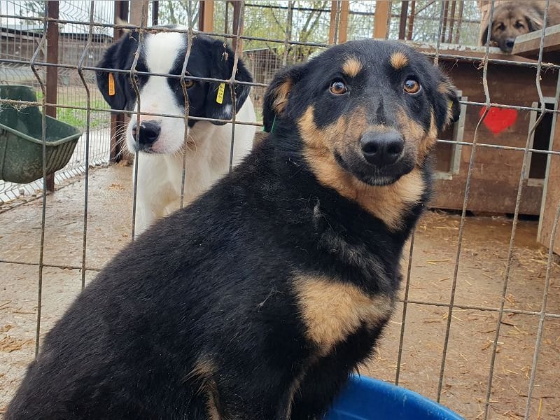 ♥ADRIANA♥ hübsche, eher zarte und zurückhaltende Zuckermaus 49 cm