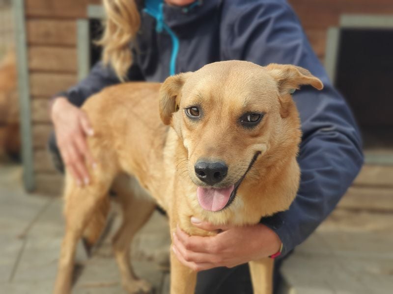 ♥PAULA♥ hübsche, sehr liebe, noch etwas zurückhaltende Zuckerschnute 46 cm