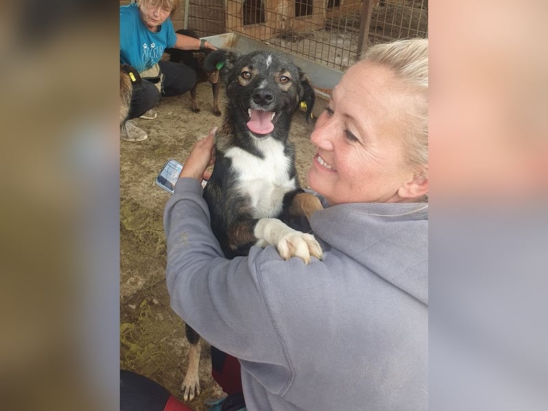 ♥HEIKO♥ zarter, ganz verschmuster und menschenbezogener Jungrüde 49 cm