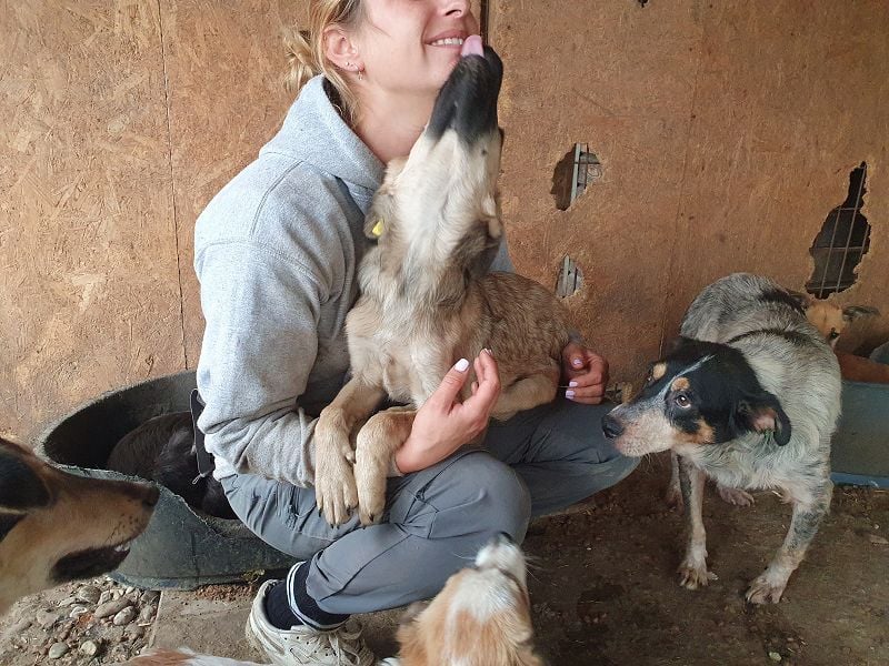 ♥LUKE♥ neu auf Pflegestelle bei Köln - süßer, charmanter, hübscher Bub 43cm (wachsend)