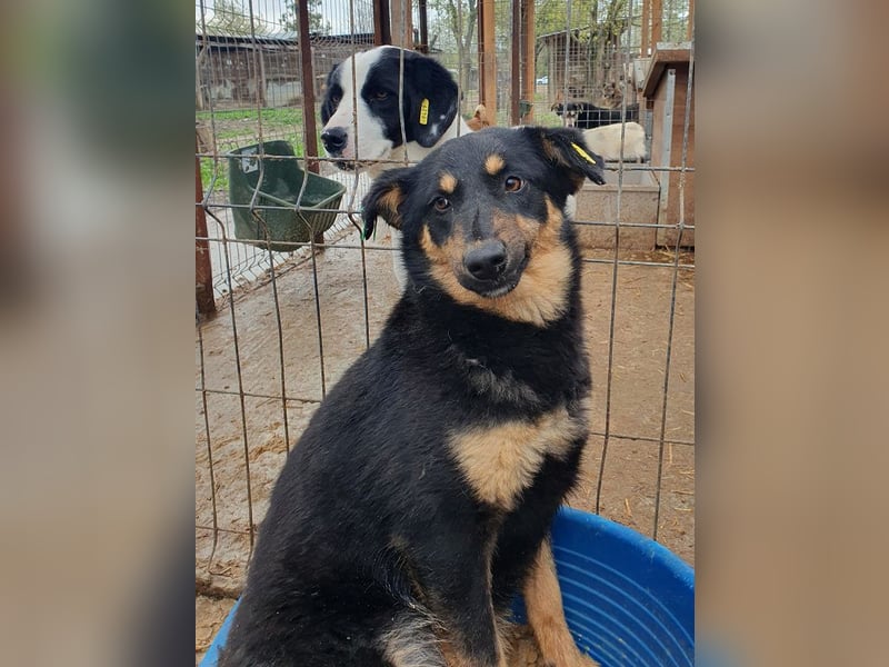 ♥ADRIANA♥ hübsche, eher zarte und zurückhaltende Zuckermaus 49 cm