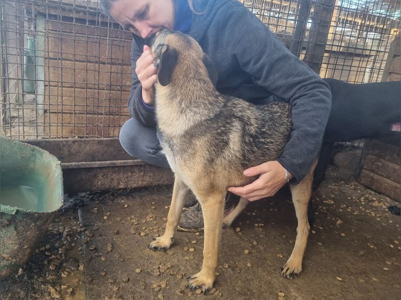 ♥TERENCE♥ verschmuster, lebensfroher, aufgeschlossener Kuschelbär mit süßer Ringelrute 50 cm