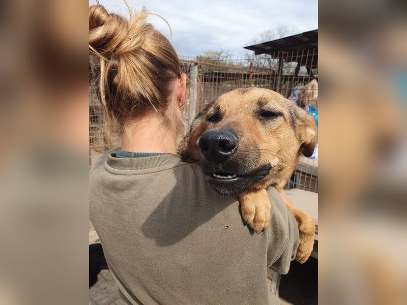 ♥MALAIKA♥ wunderschöne, fröhliche, aktive Hündin mit ganz viel Charme 50 cm