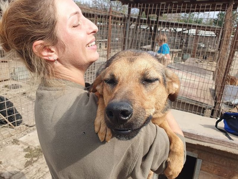 ♥MALAIKA♥ wunderschöne, fröhliche, aktive Hündin mit ganz viel Charme 50 cm