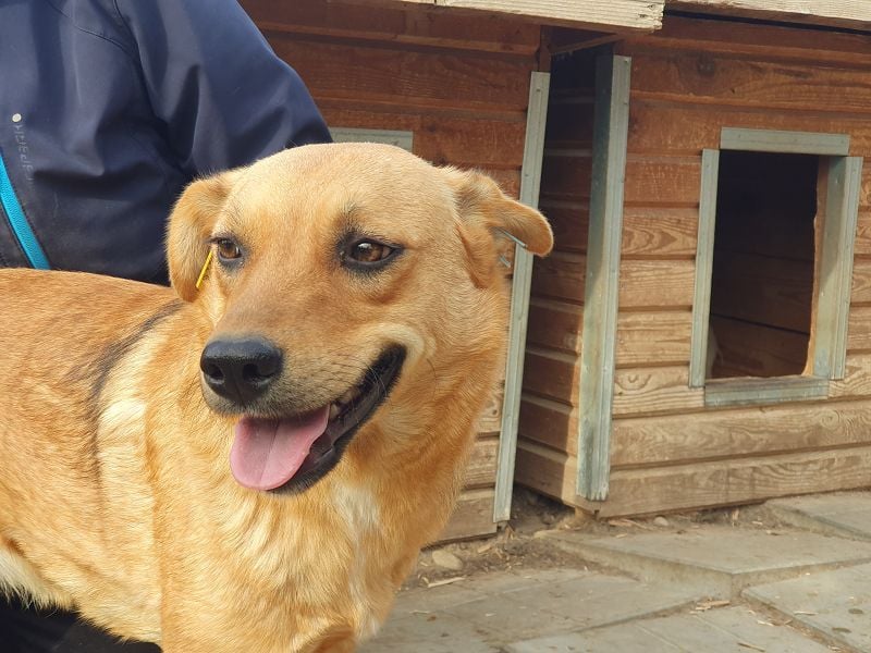 ♥PAULA♥ hübsche, sehr liebe, noch etwas zurückhaltende Zuckerschnute 46 cm