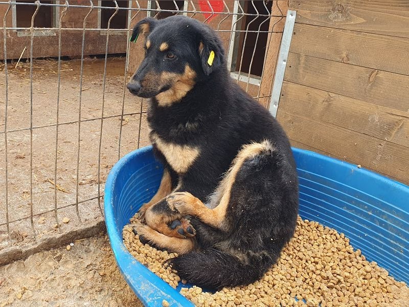 ♥ADRIANA♥ hübsche, eher zarte und zurückhaltende Zuckermaus 49 cm