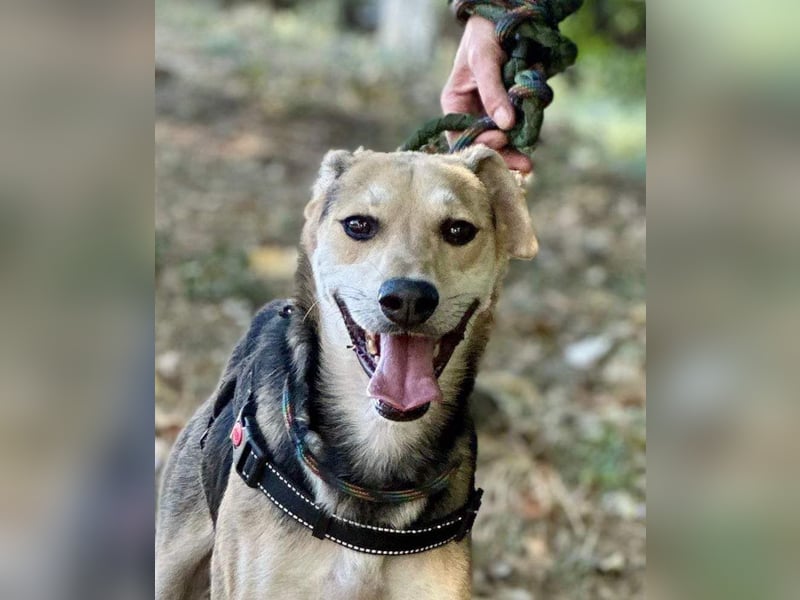 Ilay - Freude, Spaß und pure Liebe