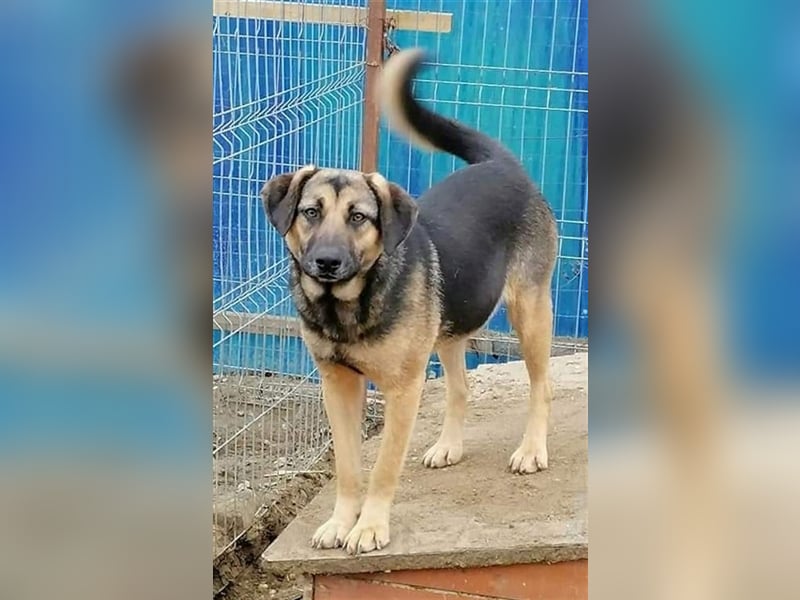Xena