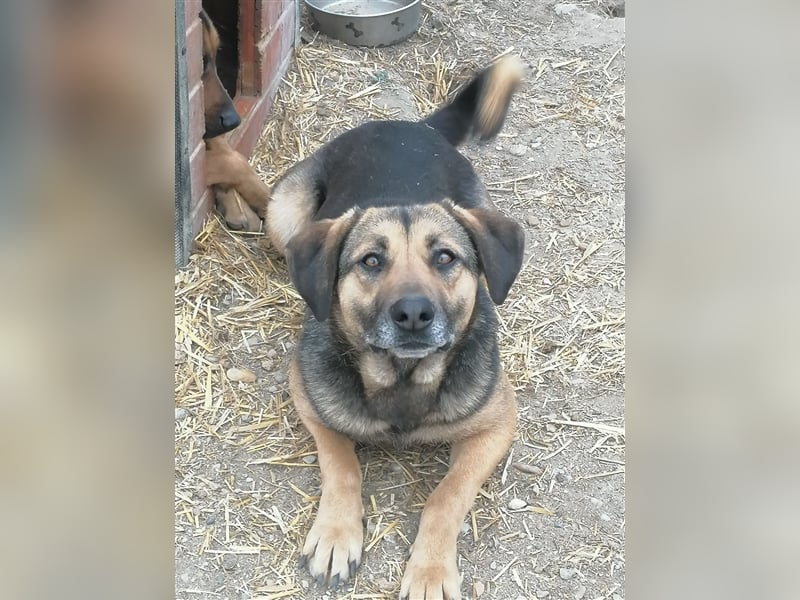Xena