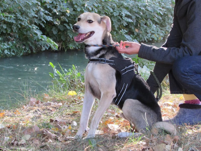 Ilay - Freude, Spaß und pure Liebe