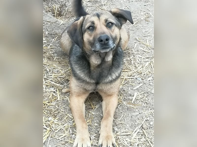 Xena