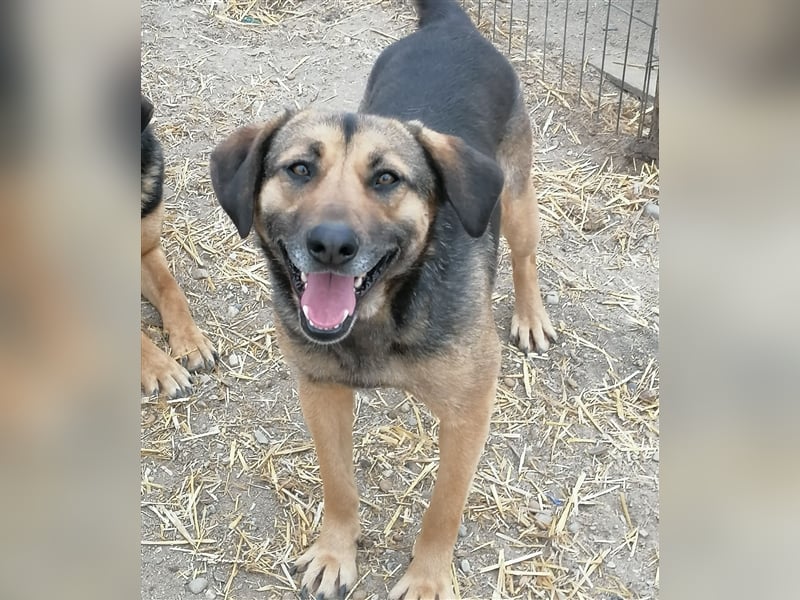 Xena