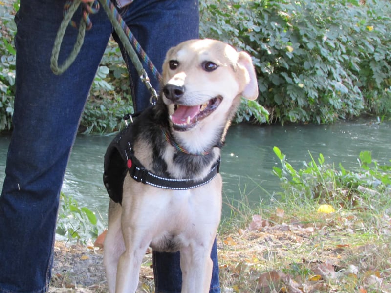 Ilay - Freude, Spaß und pure Liebe