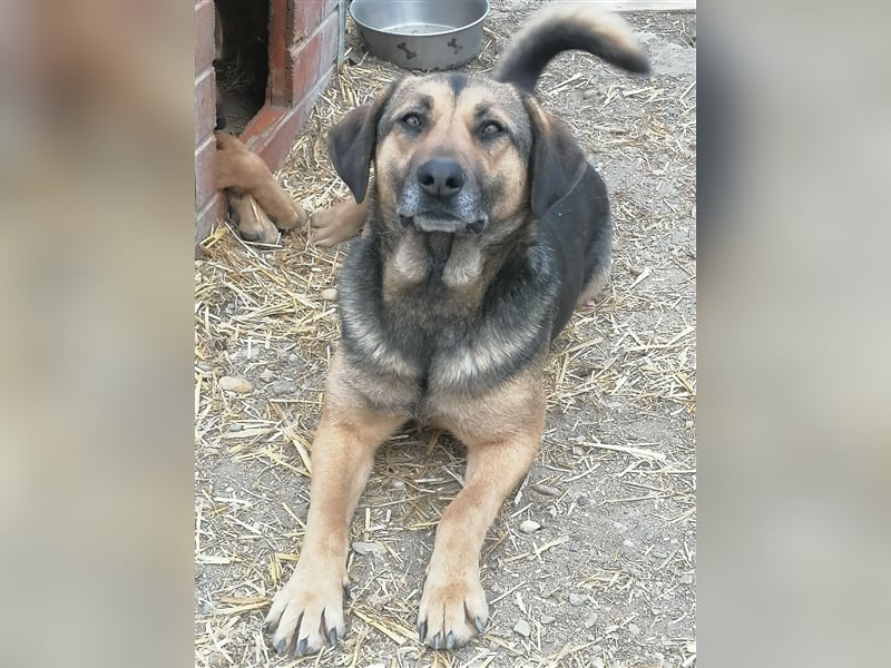 Xena