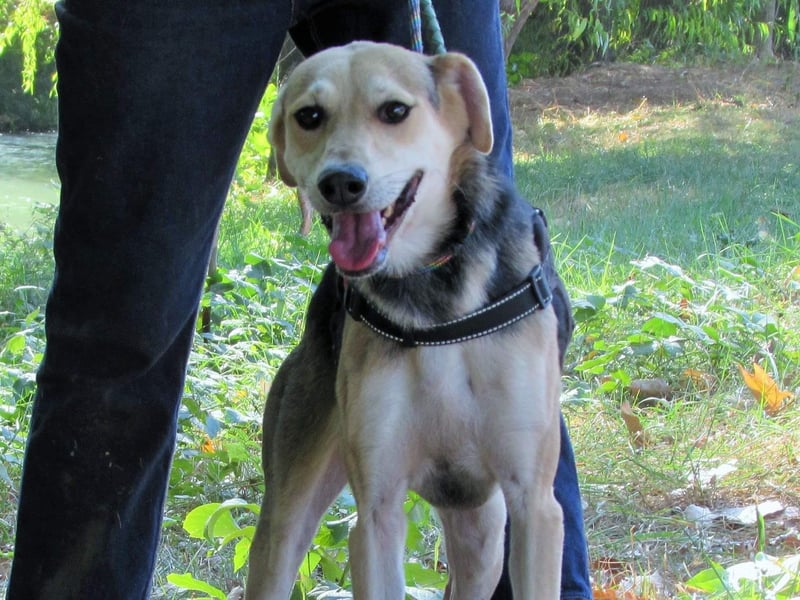 Ilay - Freude, Spaß und pure Liebe