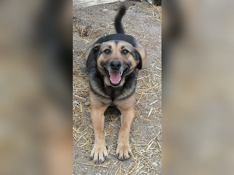 Xena