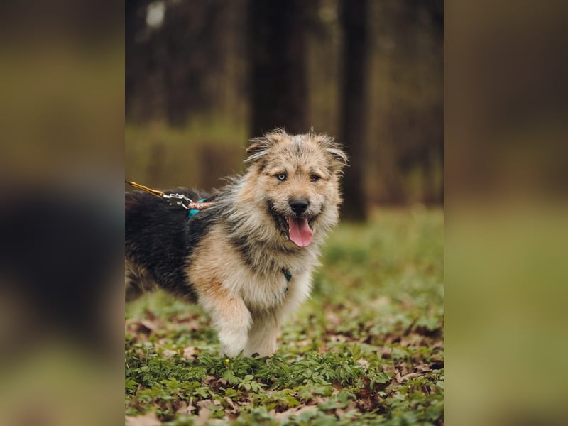 Frohnatur Osya ❤️ möchte ankommen