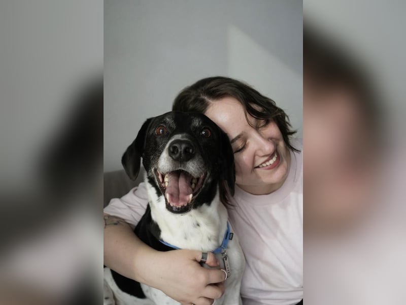 Verschmuster Rüde „Krem“ ❤️ sucht endlich ein verlässliches Zuhause