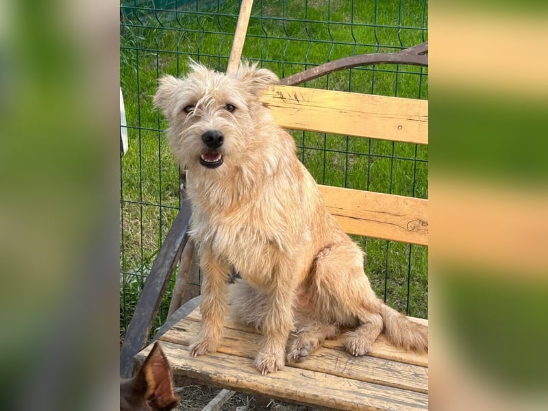 Lisette ❤️ hofft auf ein Happy End