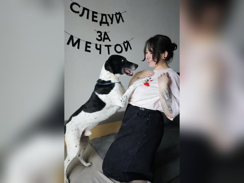 Verschmuster Rüde „Krem“ ❤️ sucht endlich ein verlässliches Zuhause