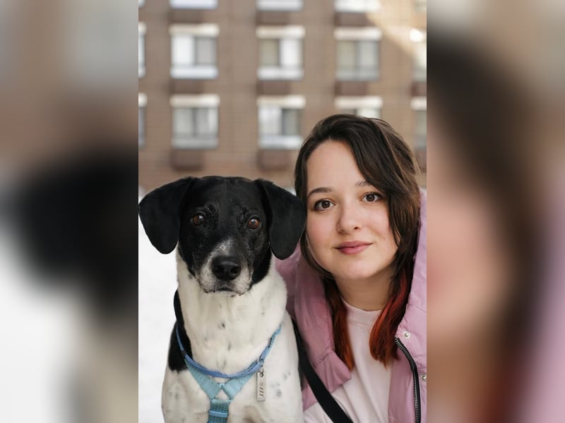 Verschmuster Rüde „Krem“ ❤️ sucht endlich ein verlässliches Zuhause