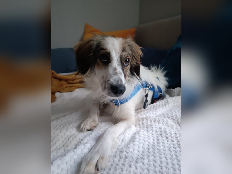 Faya ❤️ Kleine Kuschelprinzessin sucht ihre Herzensmenschen