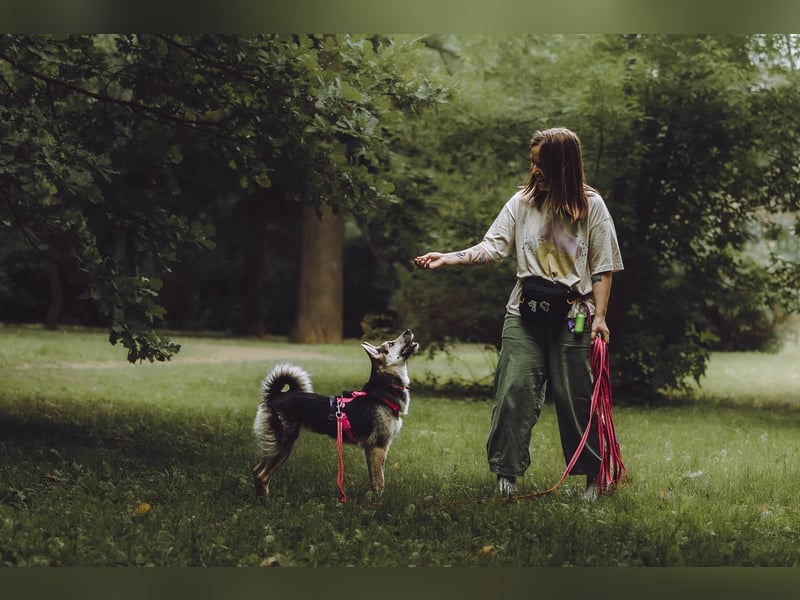 Fröhliche Kayla ❤️ sucht ihre Lieblingsmenschen