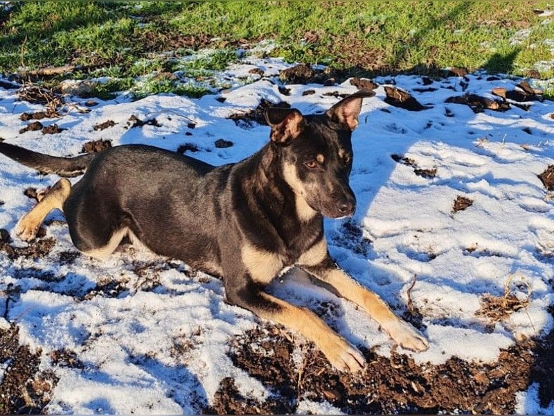 Sam ❤️ lebensfroher Wirbelwind sucht aktive Menschen