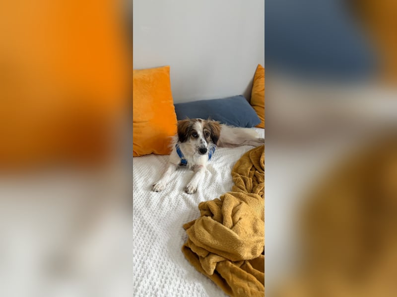 Faya ❤️ Kleine Kuschelprinzessin sucht ihre Herzensmenschen