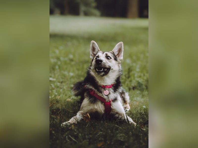 Fröhliche Kayla ❤️ sucht ihre Lieblingsmenschen