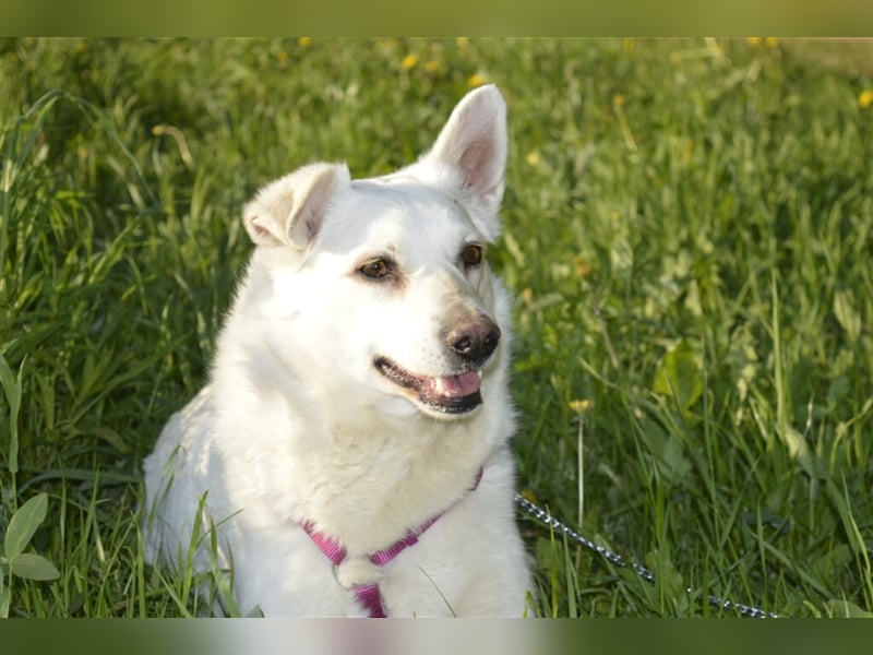 Die schüchterne schneeweiße Schönheit Caprice❤️sucht eine Familie