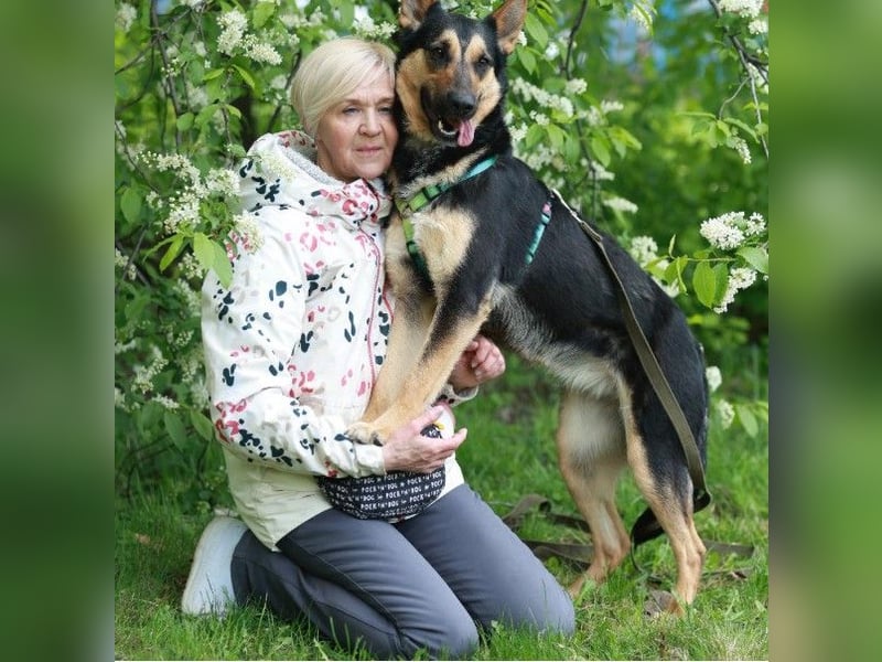 Junge freundliche Hündin Lora ❤️ sucht Familie oder Pflegestelle