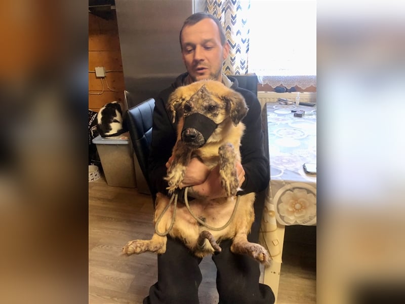 Ryzhyk ❤️  - wahre Schönheit kommt von innen