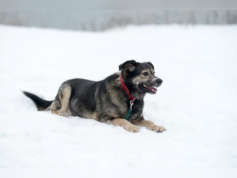 Gerda ❤️ auf der Suche nach ihren Herzmenschen