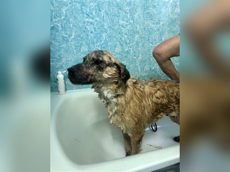 Ryzhyk ❤️  - wahre Schönheit kommt von innen