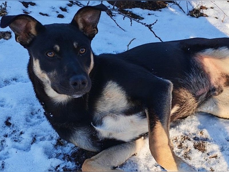Sam ❤️ lebensfroher Wirbelwind sucht aktive Menschen