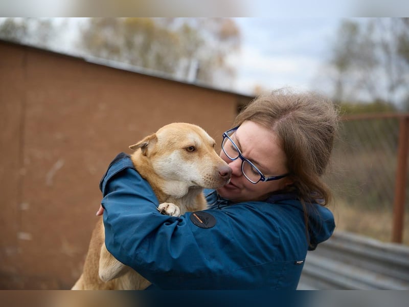 Fabelhafter Simba❤️sucht seine Menschen