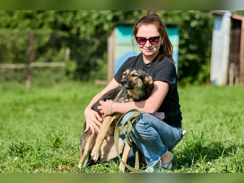 Elfi ❤️ Junge, freundliche Hündin sucht ihr Für-immer-Zuhause