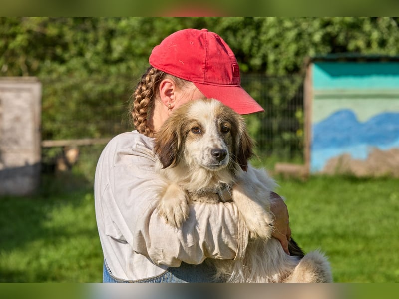 Faya ❤️ Kleine Kuschelprinzessin sucht ihre Herzensmenschen
