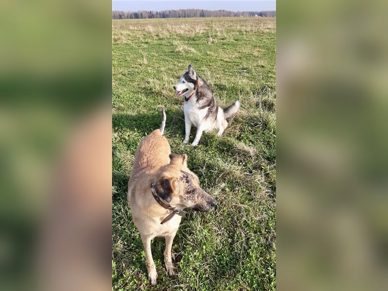 Ryzhyk ❤️  - wahre Schönheit kommt von innen