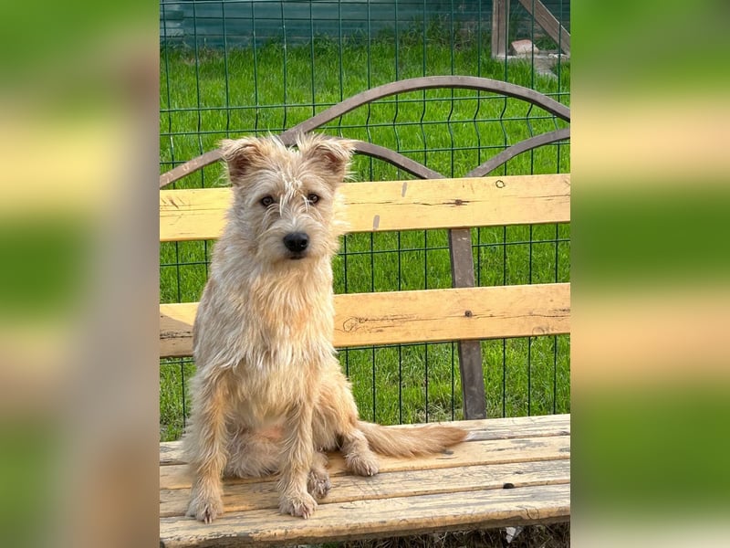 Lisette ❤️ hofft auf ein Happy End