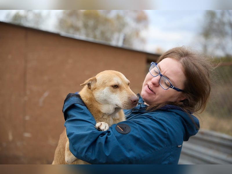 Fabelhafter Simba❤️sucht seine Menschen