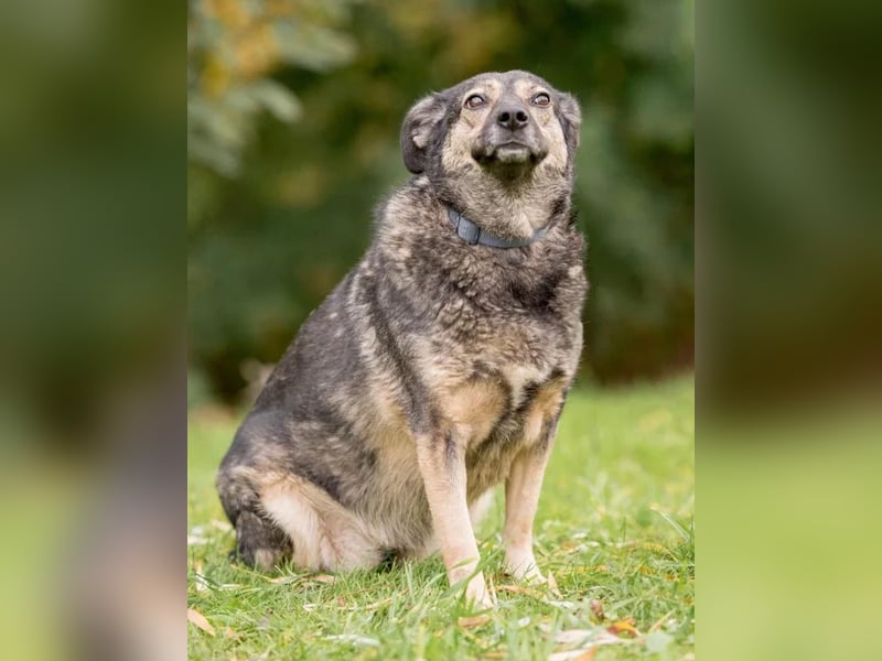 Gerda ❤️ auf der Suche nach ihren Herzmenschen