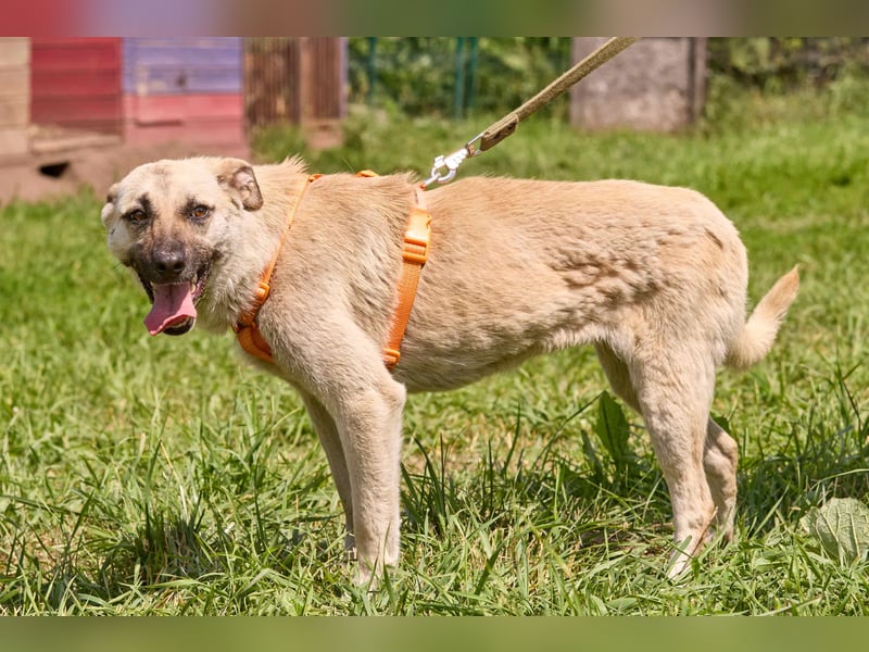 Aufgeschlossene Blondie ❤️ sucht ihre Menschen
