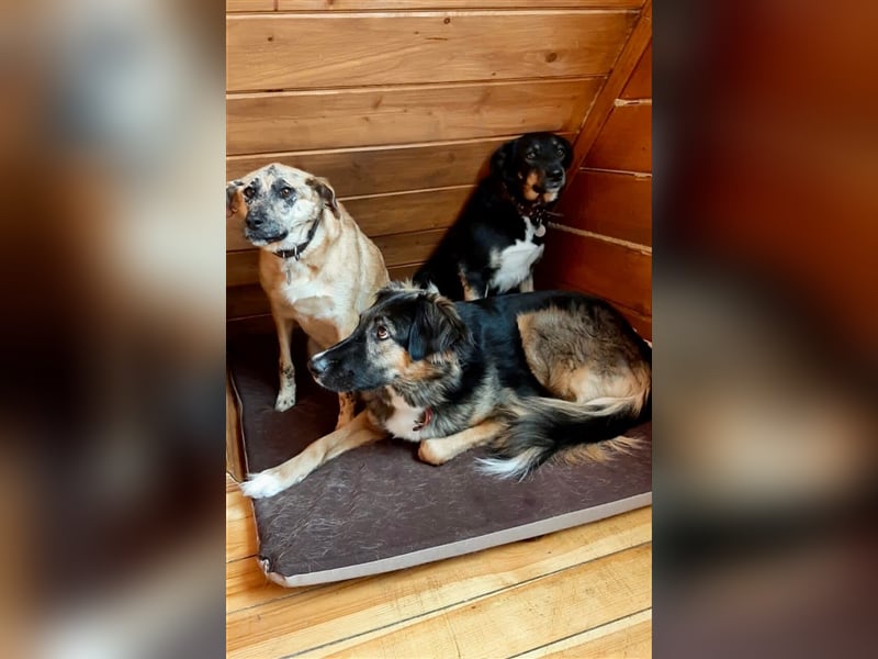 Ryzhyk ❤️  - wahre Schönheit kommt von innen