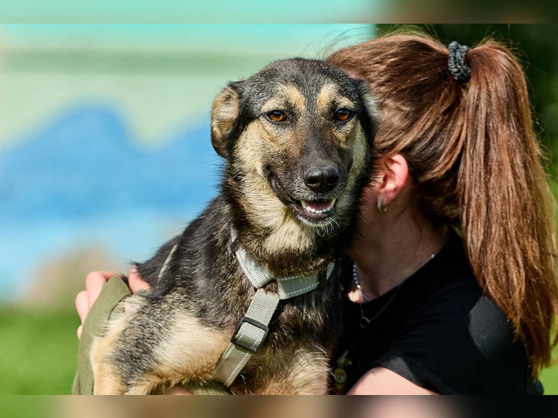 Elfi ❤️ Junge, freundliche Hündin sucht ihr Für-immer-Zuhause