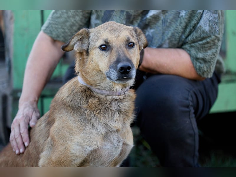 Vorsichtiger Gucci ❤️ sucht freundliche Menschen